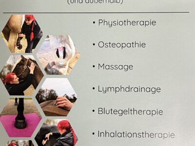 Deine Pferdephysiotherapie & Pferdeostopathie aus der Prignitz