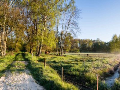 Natur erleben - Tourismusverband Prignitz e.V.